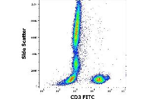 Flow cytometry surface staining pattern of human peripheral whole blood stained using anti-human CD3 (MEM-57) FITC antibody (20 μL reagent / 100 μL of peripheral whole blood). (CD3 抗体  (FITC))