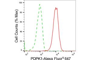 Flow cytometric analysis of PDPK1 expression in HepG2 cells using PDPK1 antibody (ABIN7797423), 1:2,000).