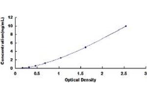 Typical standard curve (DLL3 ELISA 试剂盒)