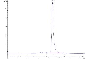 Size-exclusion chromatography-High Pressure Liquid Chromatography (SEC-HPLC) image for Butyrophilin, Subfamily 3, Member A1 (BTN3A1) (AA 30-254) protein (His tag) (ABIN7274004)