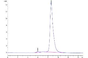 Size-exclusion chromatography-High Pressure Liquid Chromatography (SEC-HPLC) image for Interleukin 18 Receptor Accessory Protein (IL18RAP) (AA 20-356) protein (His tag) (ABIN7274970)