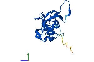 Protein Structure (PS) image for Ribosomal Protein L23 (RPL23) (AA 1-140) protein (His tag) (ABIN7556618)