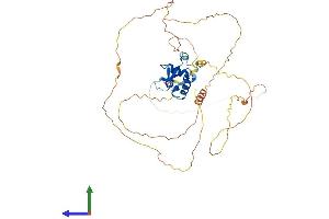 Protein Structure (PS) image for Forkhead Box D4 (FOXD4) (AA 1-444) protein (His tag) (ABIN7557593)