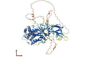 AlphaFold protein structure predicition of Human Recombinant PIK3R5 Protein, UniprotID Q8WYR1