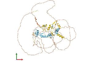 AlphaFold protein structure predicition of Human Recombinant IKZF4 Protein, UniprotID Q9H2S9 (IKZF4 Protein (AA 1-585) (His tag))