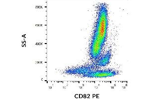 Flow cytometry analysis (surface staining) of CD82 on human peripheral blood cells with anti-CD82 (C33) PE. (CD82 抗体  (PE))