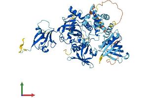 Protein Structure (PS) image for Fermitin Family Member 3 (FERMT3) (AA 1-667) protein (His tag) (ABIN7555980)