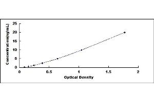 Typical standard curve (DAO ELISA 试剂盒)