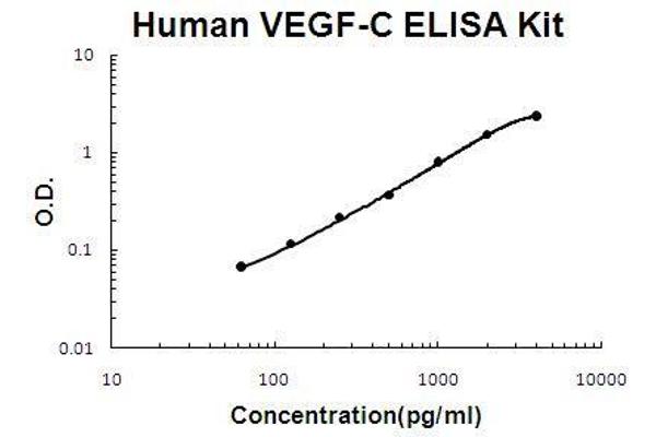 VEGFC ELISA 试剂盒