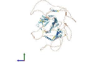 Protein Structure (PS) image for Splicing Factor, Arginine/serine-Rich 14 (SFRS14) (AA 1-1082) protein (His tag) (ABIN7555667)