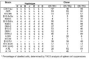 Distribution of ER-TR 1, ER-TR 2 and ER-TR 3 among mouse strains with independent and recombinant haplotypes* (MHC Class II Antigen I Ak,d,b,q,r 抗体 (FITC))