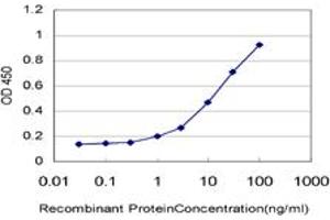 Detection limit for recombinant GST tagged TCL1A is approximately 1ng/ml as a capture antibody. (TCL1A 抗体  (AA 61-114))