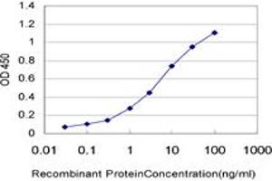 ELISA image for anti-Ribosomal Protein S17 (RPS17) (AA 36-135) antibody (ABIN562733)