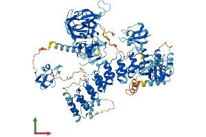 Protein Structure (PS) image for E3 ubiquitin-protein ligase MIB2 (MIB2) (AA 1-973) protein (His tag) (ABIN7564715)