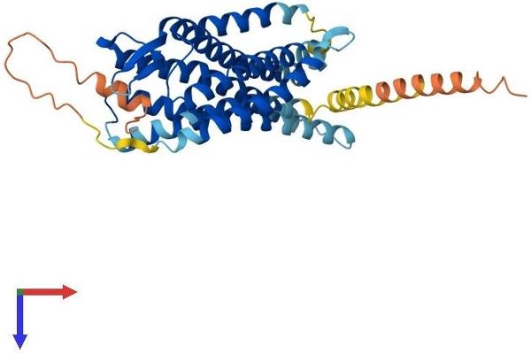 Angiotensin II Type 2 Receptor Protein (AA 1-363) (His tag)