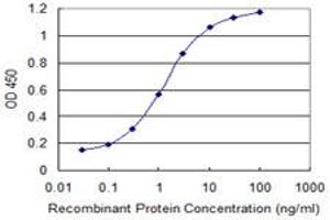 Detection limit for recombinant GST tagged FDX1 is 0. (Ferredoxin1 (FDX1) (AA 85-183) 抗体)