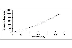 Typical standard curve (Galectin 2 ELISA 试剂盒)