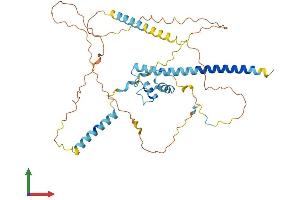Protein Structure (PS) image for NFKB Activating Protein (NKAP) (AA 1-415) protein (His tag) (ABIN7549762)