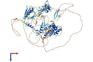 Protein Structure (PS) image for rho GTPase Activating Protein 27 (ARHGAP27) (AA 1-889) protein (His tag) (ABIN7555230)