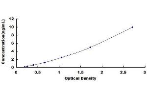 Typical standard curve (HRSP12 ELISA 试剂盒)