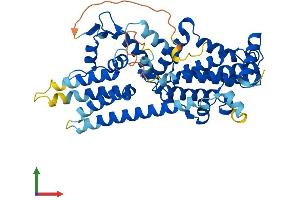 Protein Structure (PS) image for RasGEF Domain Family, Member 1B (RASGEF1B) (AA 1-473) protein (His tag) (ABIN7559394)