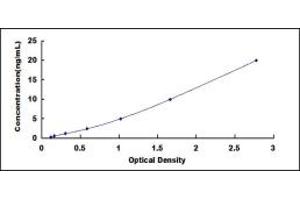 Glutamate Receptor, Ionotropic, N-Methyl D-Aspartate 1 (GRIN1) ELISA Kit