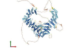 AlphaFold protein structure predicition of Human Recombinant MYBBP1A Protein, UniprotID Q9BQG0