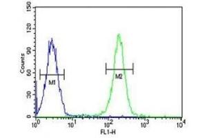 PAX1 antibody flow cytometric analysis of K562 cells (right histogram) compared to a negative control (left histogram) (PAX1 抗体  (AA 443-471))