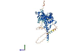 AlphaFold protein structure predicition of Mouse Recombinant Stk3 Protein, UniprotID Q9JI10 (STK3 Protein (AA 1-497) (His tag))