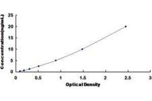 Typical standard curve (NPY1R ELISA 试剂盒)