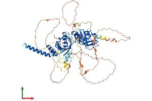 AlphaFold protein structure predicition of Human Recombinant SIM2 Protein, UniprotID Q14190
