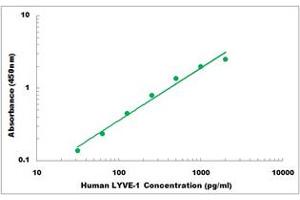 Representative Standard Curve (LYVE1 ELISA 试剂盒)