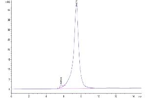 Size-exclusion chromatography-High Pressure Liquid Chromatography (SEC-HPLC) image for Interleukin 7 Receptor (IL7R) (AA 21-239) protein (Fc Tag) (ABIN7274967)
