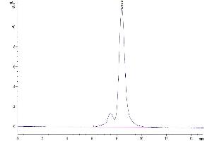 Size-exclusion chromatography-High Pressure Liquid Chromatography (SEC-HPLC) image for Desmoglein 3 (DSG3) (AA 50-617) protein (His tag) (ABIN7274503)