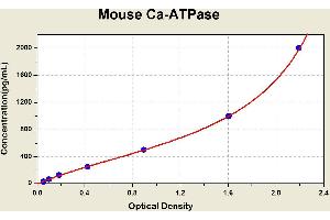 Calcium ATPase At 60A (CA-P60A) ELISA 试剂盒