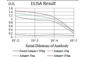 Black line: Control Antigen (100 ng), Purple line: Antigen(10 ng), Blue line: Antigen (50 ng), Red line: Antigen (100 ng), (TRF2 抗体  (AA 324-500))