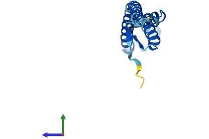 Protein Structure (PS) image for CTD Nuclear Envelope Phosphatase 1 Regulatory Subunit 1 (CNEP1R1) (AA 1-125) protein (His tag) (ABIN7557207)