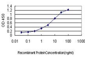 Detection limit for recombinant GST tagged HOXB1 is approximately 0. (HOXB1 抗体  (AA 1-74))
