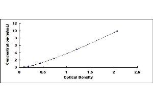 Typical standard curve (SRGN ELISA 试剂盒)