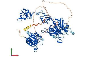 AlphaFold protein structure predicition of Human Recombinant GPHN Protein, UniprotID Q9NQX3 (Gephyrin Protein (GPHN) (AA 1-736) (His tag))