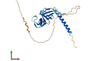 Protein Structure (PS) image for Opa Interacting Protein 5 (OIP5) (AA 1-229) protein (His tag) (ABIN7549515)