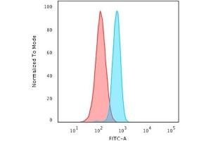 Flow Cytometry (FACS) image for anti-Spectrin, Beta, Non-erythrocytic 2 (SPTBN2) (AA 356-475) antibody (ABIN6940651)