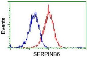 Flow cytometric Analysis of Hela cells, using anti-SERPINB6 antibody (ABIN2455600), (Red), compared to a nonspecific negative control antibody, (Blue). (SERPINB6 抗体)