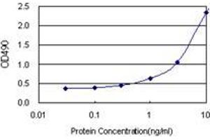 Sandwich ELISA detection sensitivity ranging from 0. (NOP16 (人) Matched Antibody Pair)