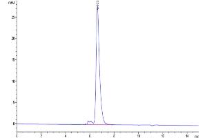 Size-exclusion chromatography-High Pressure Liquid Chromatography (SEC-HPLC) image for Notch 1 (NOTCH1) (AA 19-526) protein (His-Avi Tag,Biotin) (ABIN7275364)