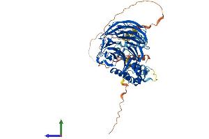 Protein Structure (PS) image for beta-Transducin Repeat Containing (BTRC) (AA 1-605) protein (His tag) (ABIN7553884)