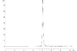 The purity of Human TPO/Thyroid Peroxidase is greater than 95 % as determined by SEC-HPLC.