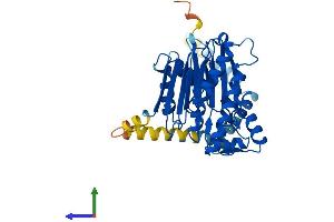 AlphaFold protein structure predicition of Human Recombinant PPM1L Protein, UniprotID Q5SGD2