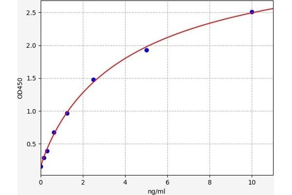 Cathepsin G ELISA 试剂盒