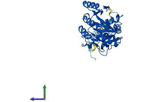 Protein Structure (PS) image for UDP-Gal:betaGlcNAc beta 1,3-Galactosyltransferase, Polypeptide 5 (B3GALT5) (AA 1-308) protein (His tag) (ABIN7561533)